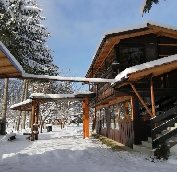 بنسيون Alpinlife