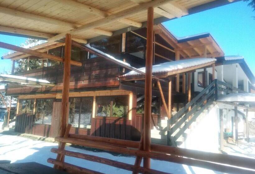 פנסיון Alpinlife