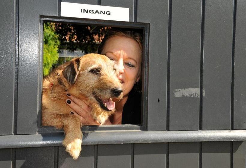 Пансион B&b Sapere