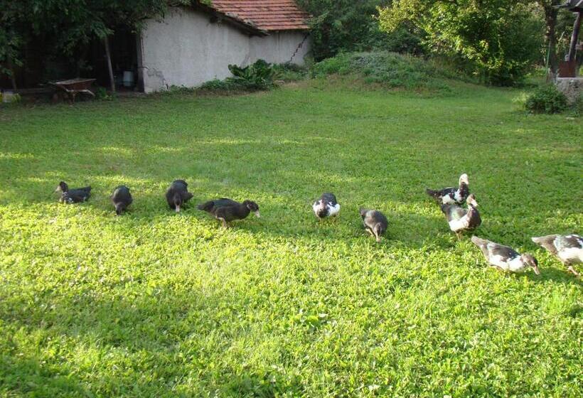 פנסיון Bilkarskata Kashta