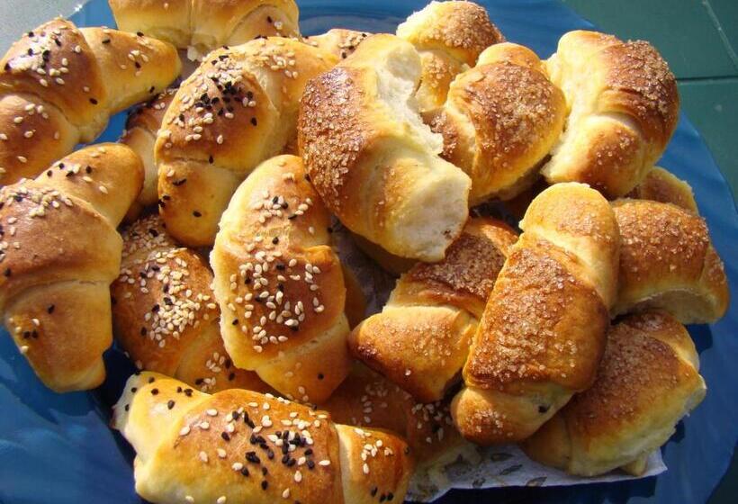 פנסיון Bilkarskata Kashta