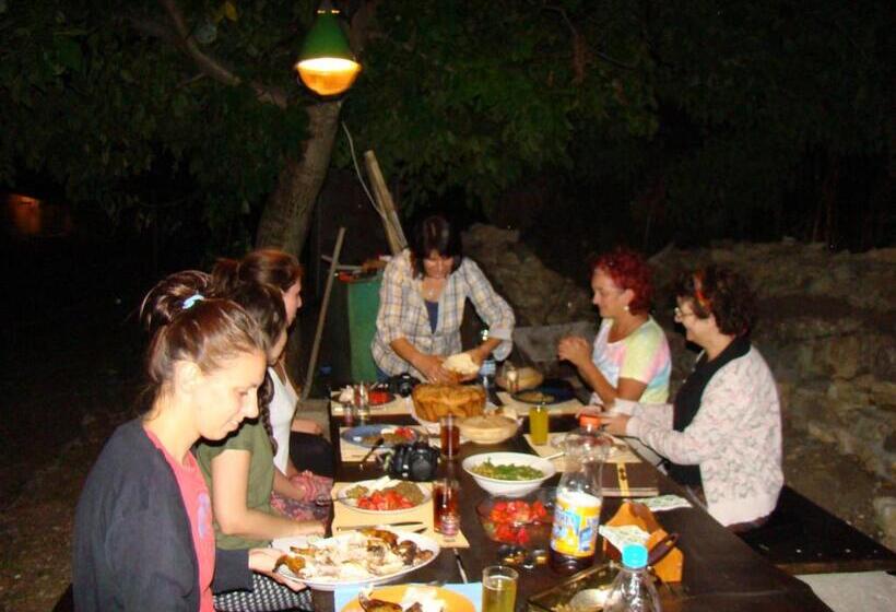 פנסיון Bilkarskata Kashta