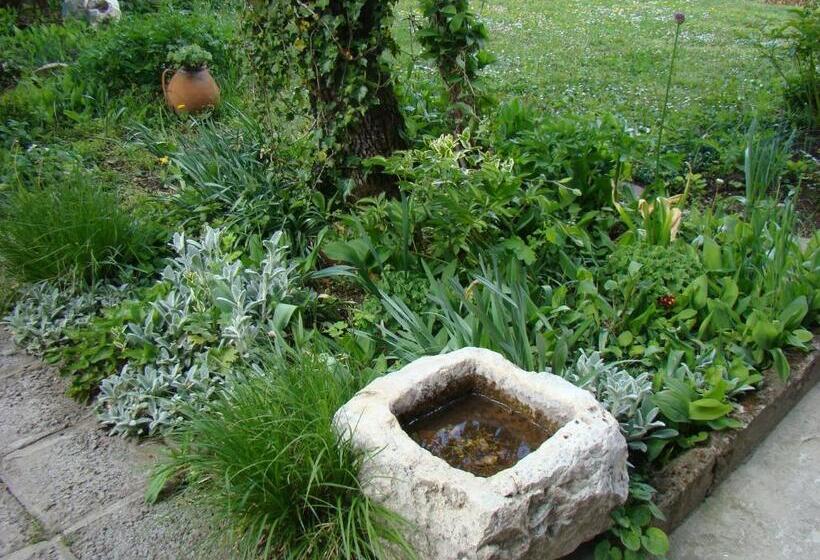 פנסיון Bilkarskata Kashta