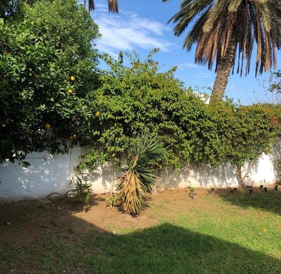 بنسيون Carmella