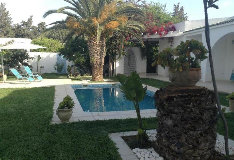 بنسيون Carmella