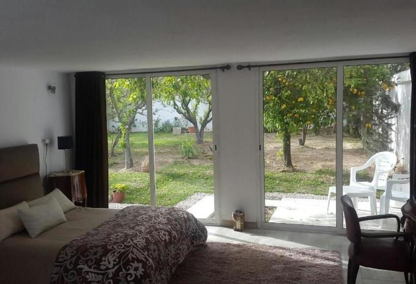 بنسيون Carmella