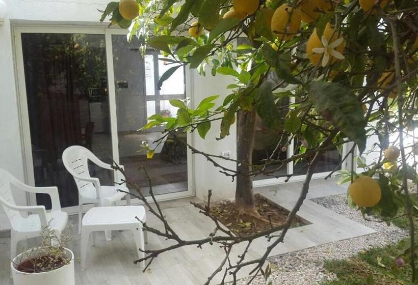 بنسيون Carmella