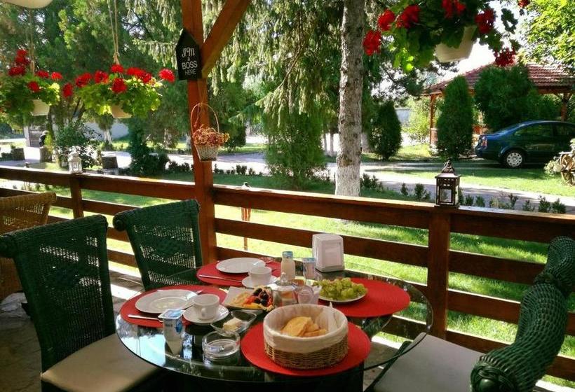 Пансион Casa Cu Nuc