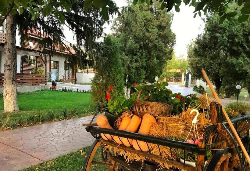 Пансион Casa Cu Nuc