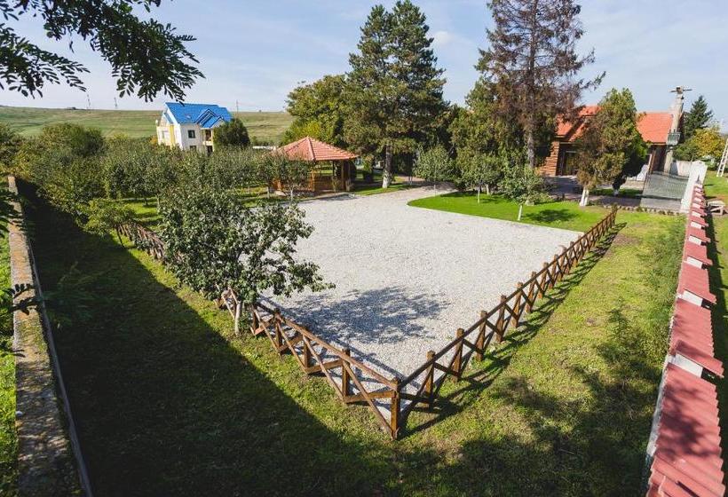 Пансион Casa Cu Nuc