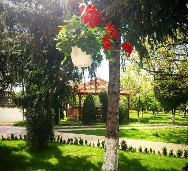 Пансион Casa Cu Nuc