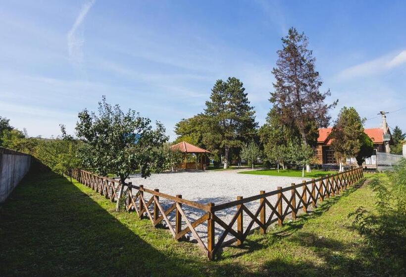 Пансион Casa Cu Nuc