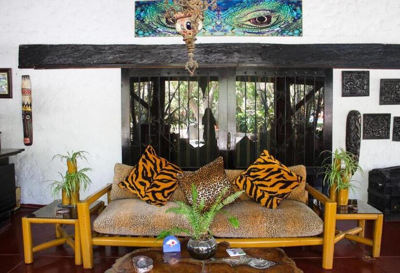 بنسيون Casa Del Gringo