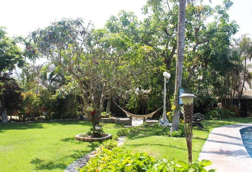 بنسيون Casa Del Gringo