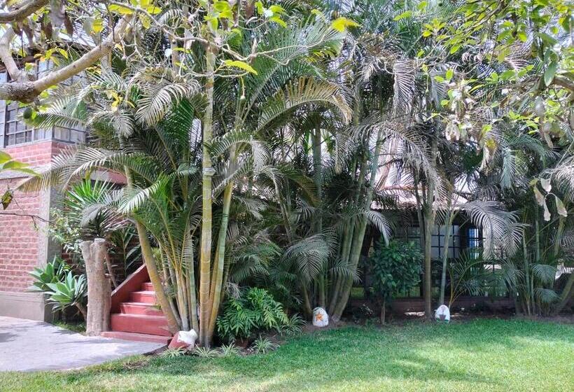 بنسيون Casa Del Gringo