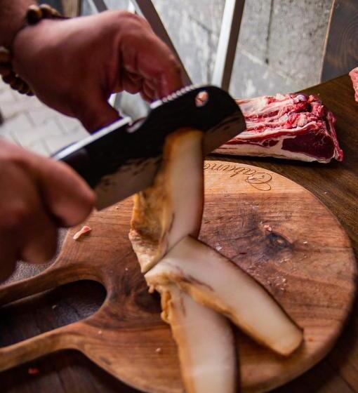 Пансион Casa Iancu