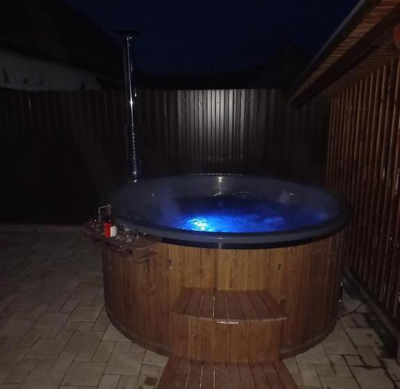 Пансион Casa Iancu