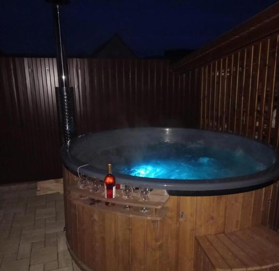 Пансион Casa Iancu