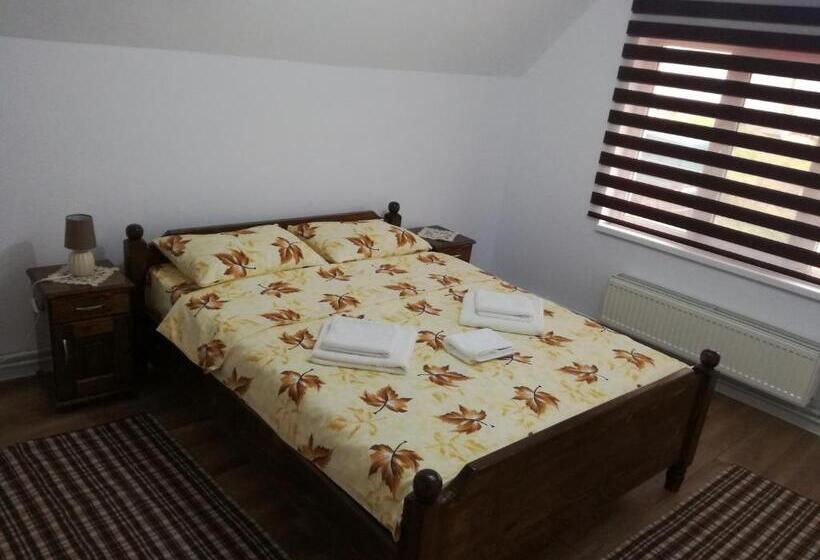 Пансион Casa Iancu