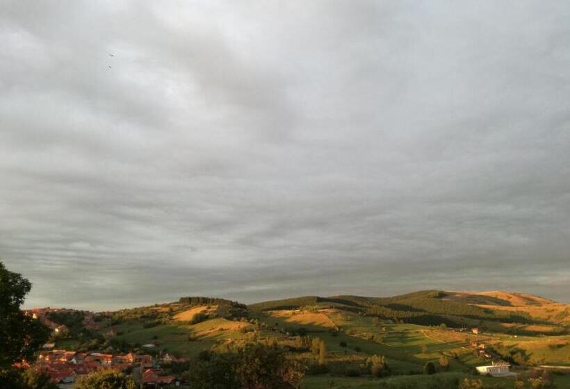 Пансион Casa Iancu