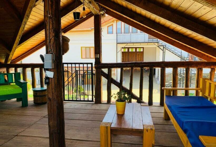 Пансион Casa La Moara Din Grădină