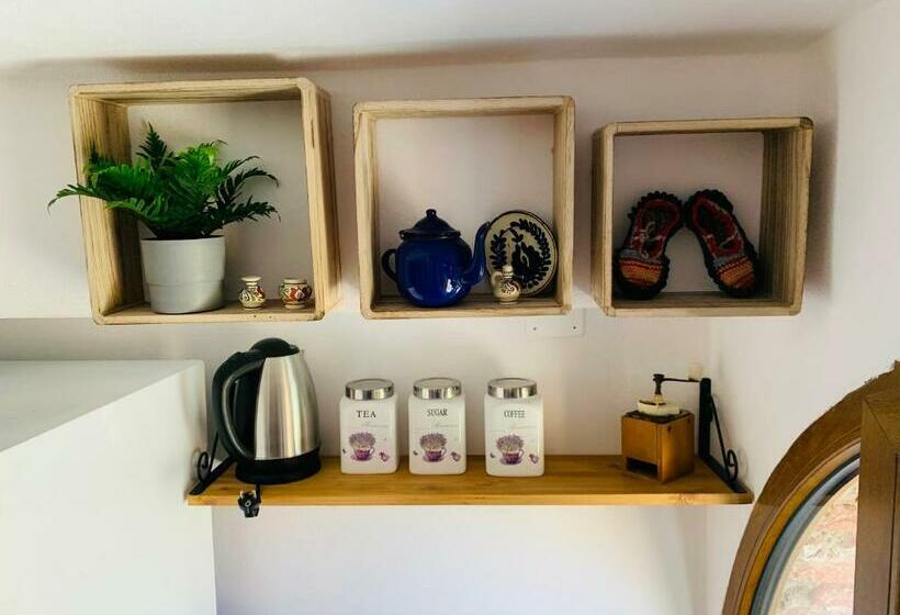 Пансион Casa La Moara Din Grădină