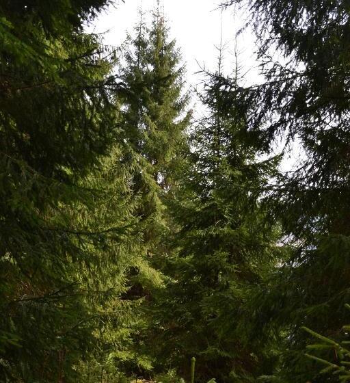 ペンション Casa Lia