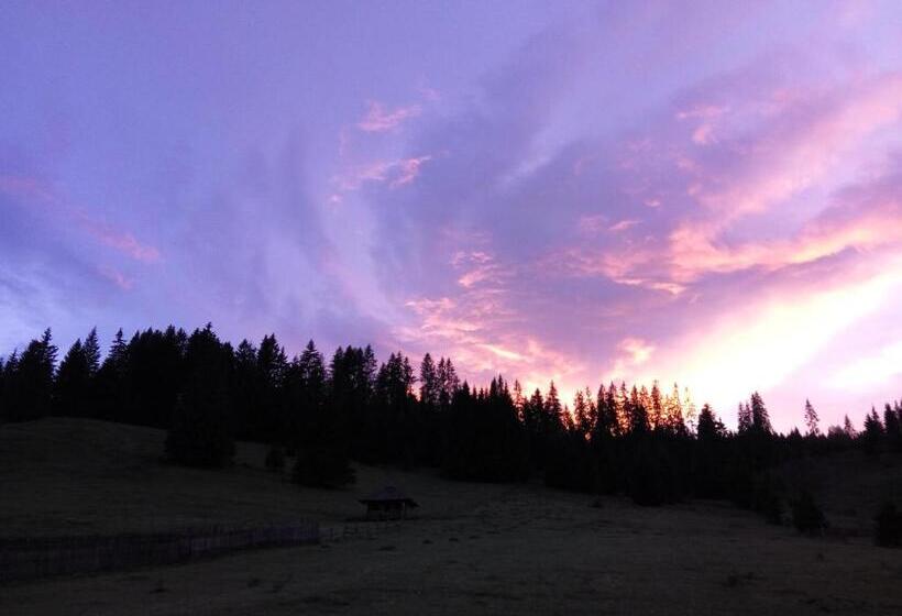 Пансион Casa Lia