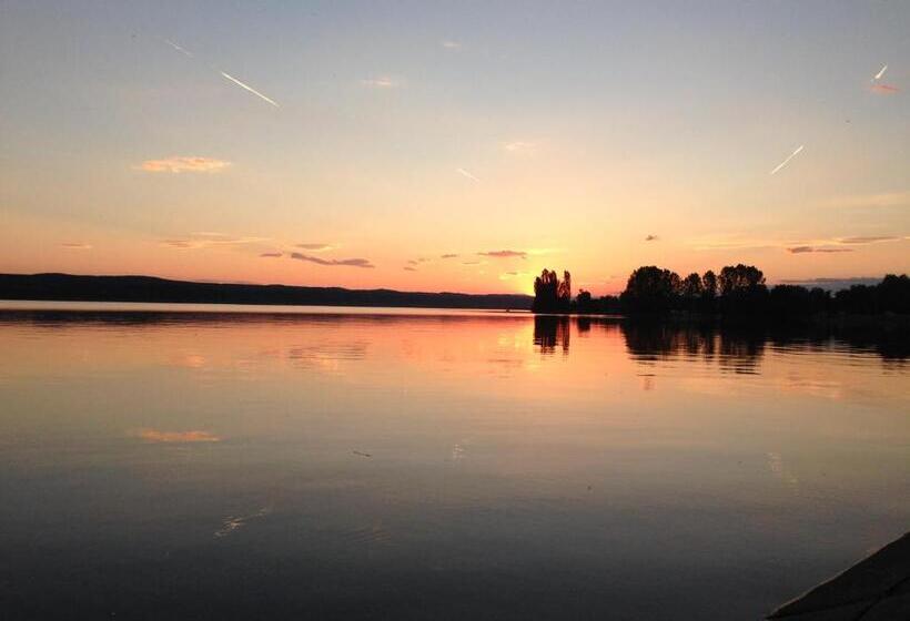 Пансион Casa Lidia și Gogu