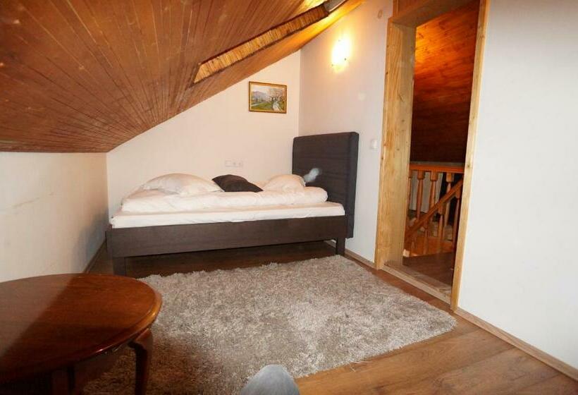 بنسيون Casa Paltinu