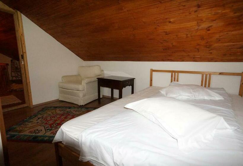 بنسيون Casa Paltinu