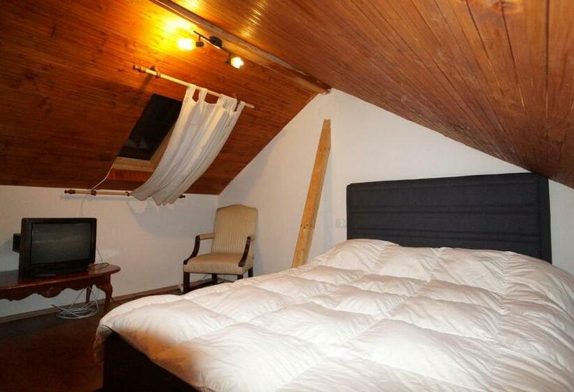 بنسيون Casa Paltinu