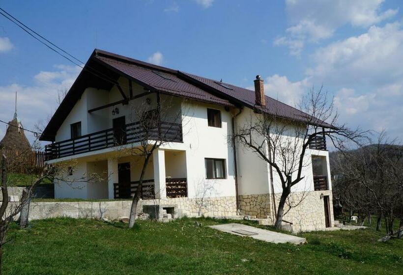 بنسيون Casa Paltinu