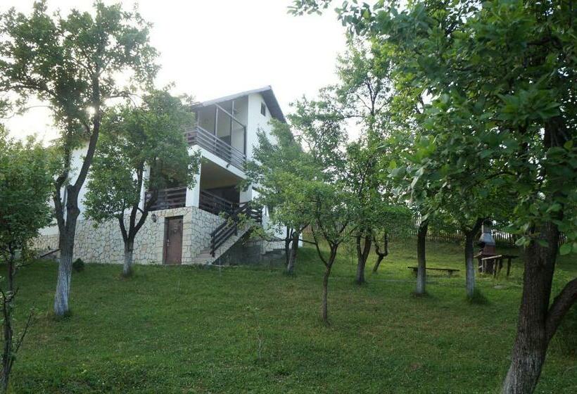 بنسيون Casa Paltinu