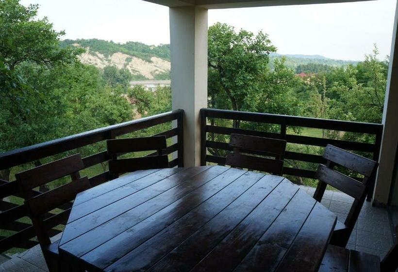 بنسيون Casa Paltinu