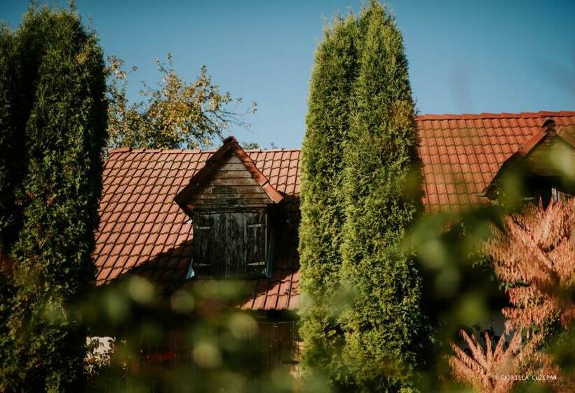 펜션 Casa Porumbacu 295