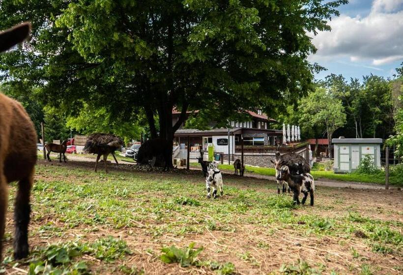 Pensjonat Chata Pod Ostrým Vrchom