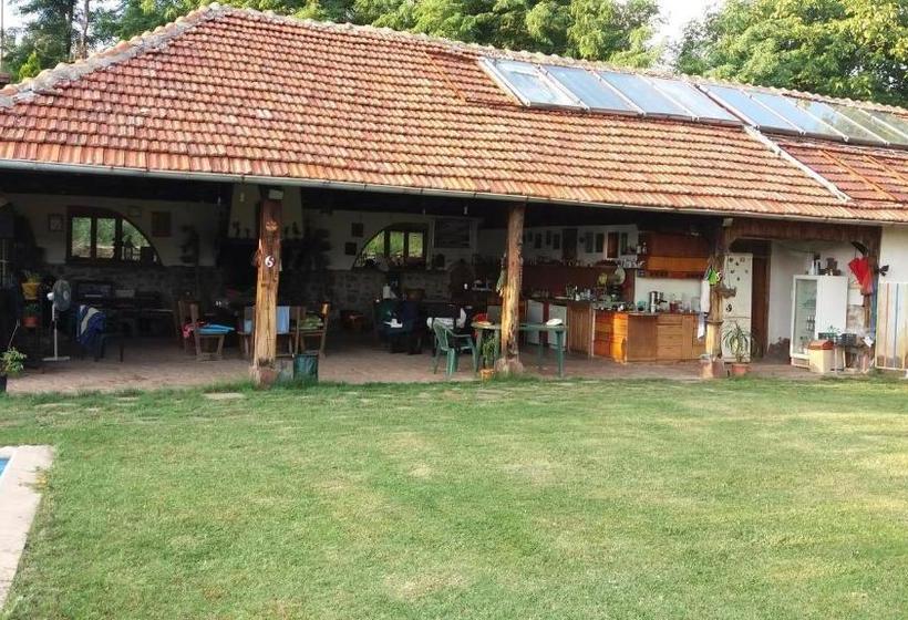 بنسيون Chuchi Guest House 1