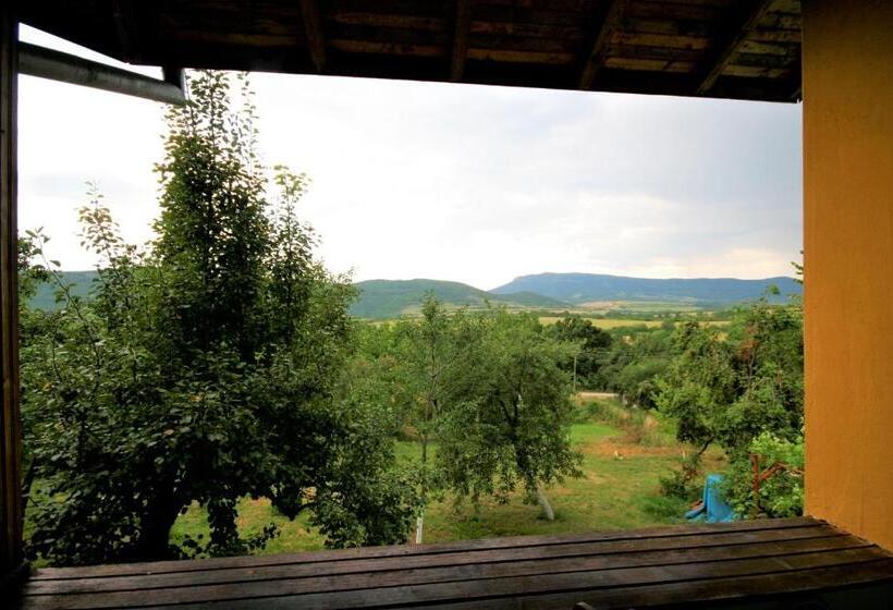 بنسيون Chuchi Guest House 1