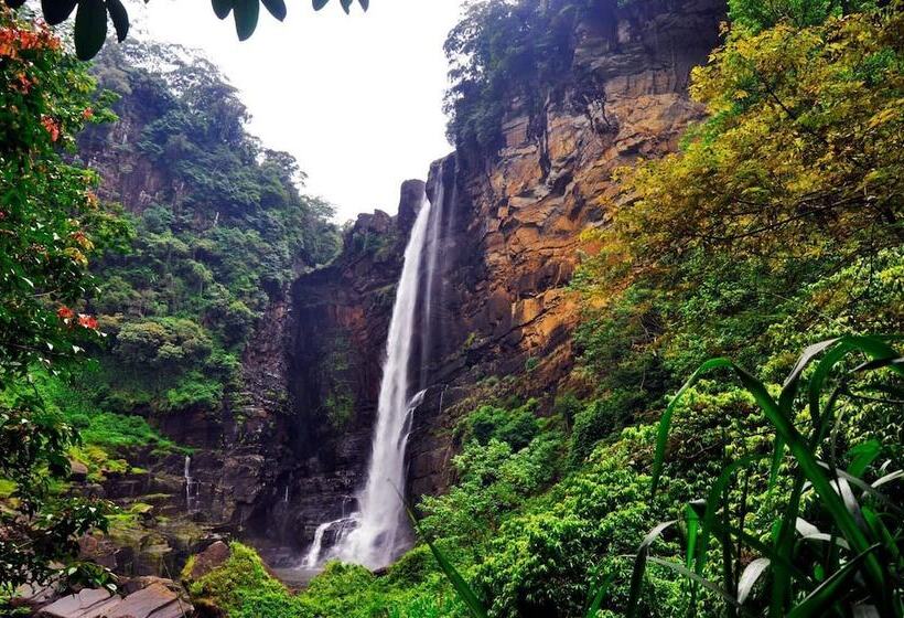 ペンション Clovefield Villa