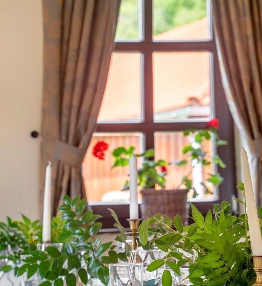 ペンション Conacul Gaal Kuria