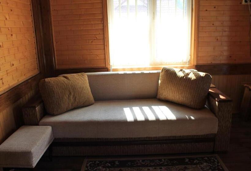 پانسیون Cottage U Yaremy Mykulychyn