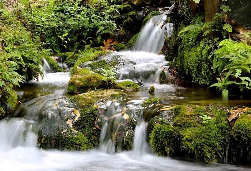 پانسیون Ermitage D Akchour