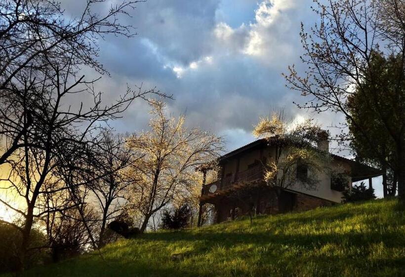 פנסיון Golden Horn Guest House