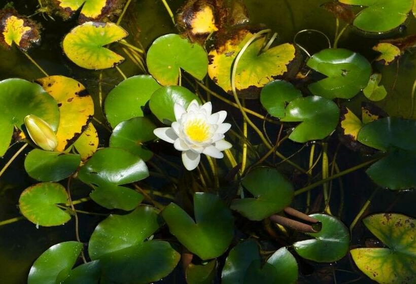 펜션 Guest House Raiski Kаt