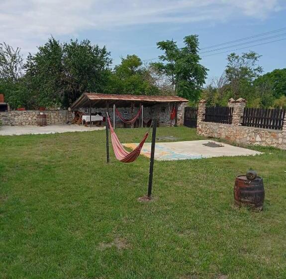 펜션 Guest House Viola