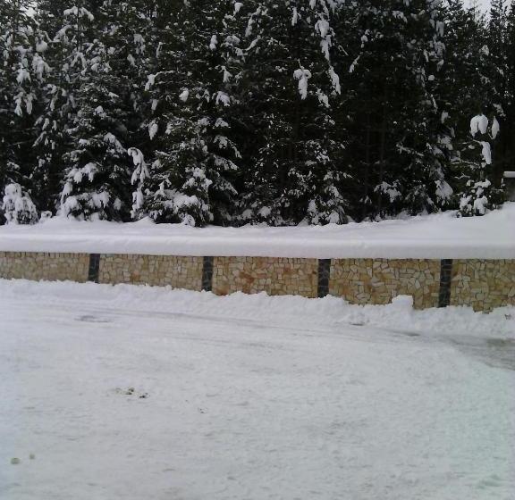 Пансион Guesthouse Aida