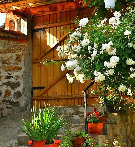 Пансион Guesthouse Argacho