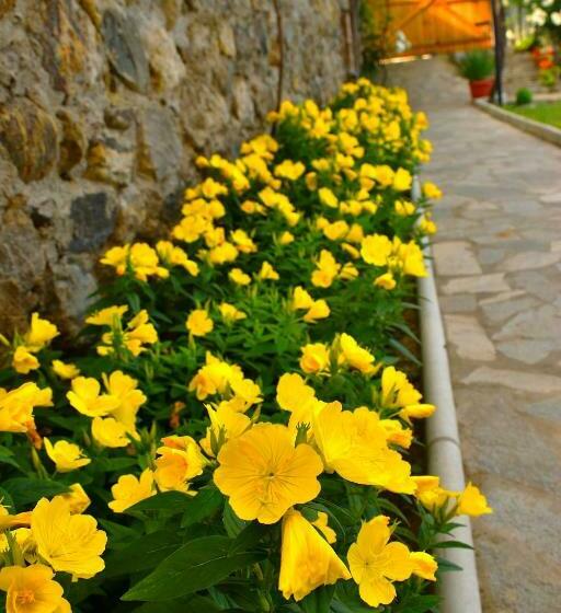 Пансион Guesthouse Argacho