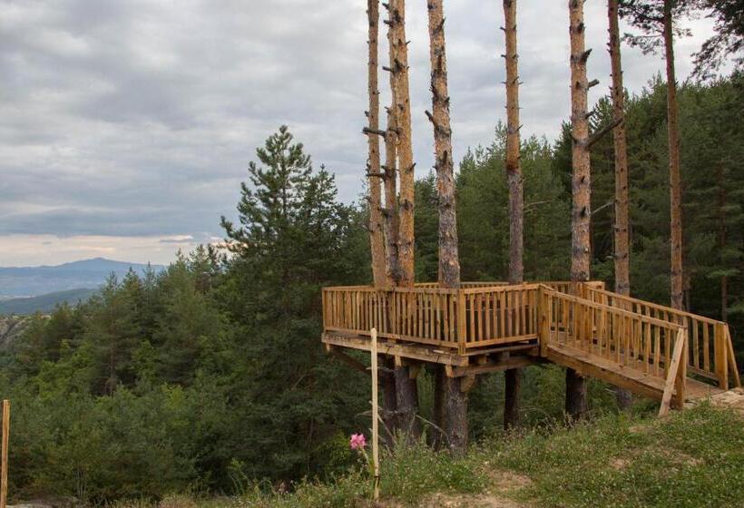 ペンション Guesthouses Prav Kamen